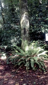 IMG_20130907_150640_912 - Version 2