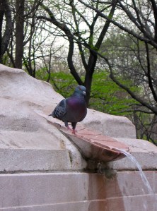 IMG_0675 - Version 3