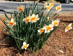 IMG_0320 - Version 2