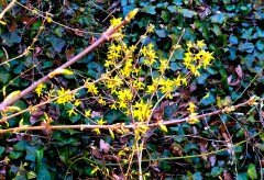 IMG_0356 - Version 2